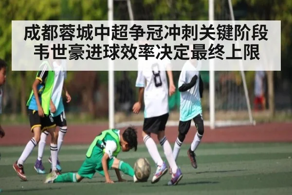 成都蓉城中超争冠冲刺关键阶段韦世豪进球效率决定最终上限